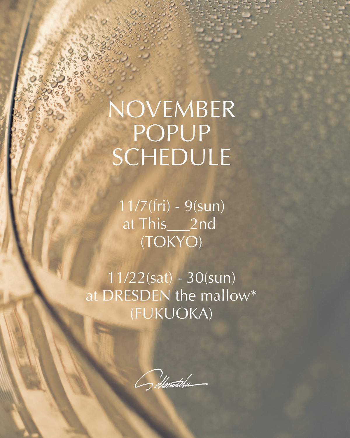 11月 POPUP SCHEDULE
