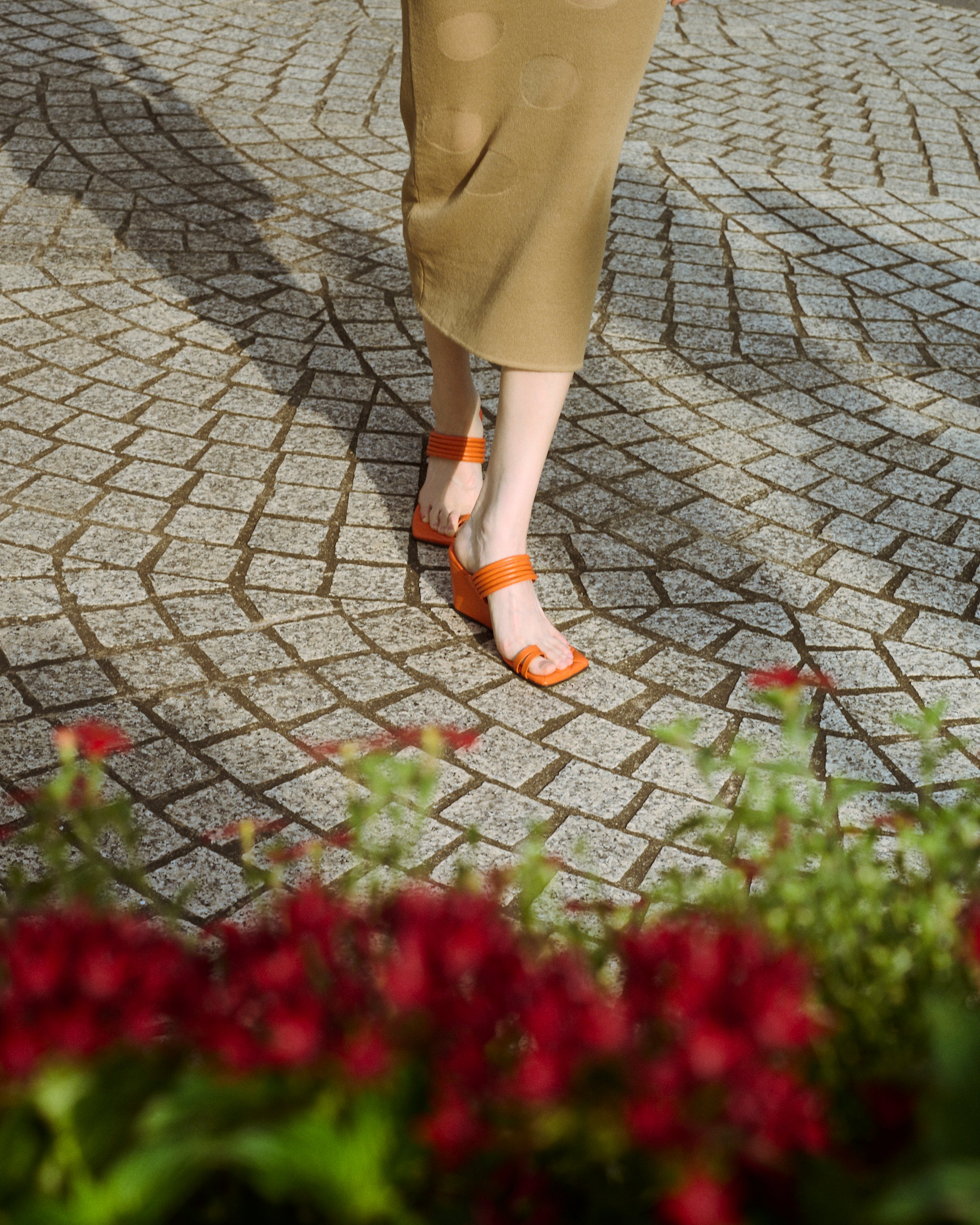 DSC_7971.jpg