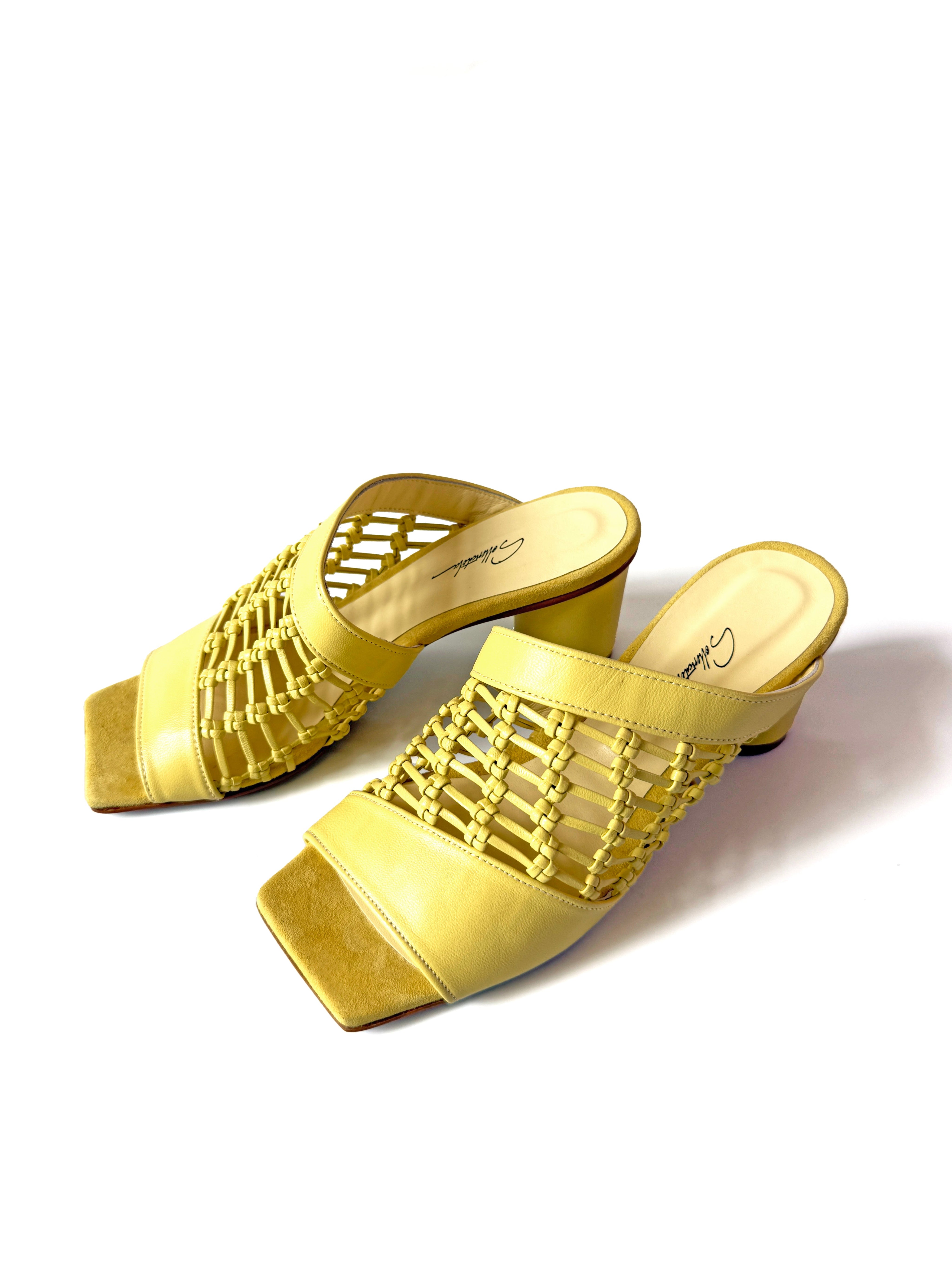 SAMPLE 13 - size 36
