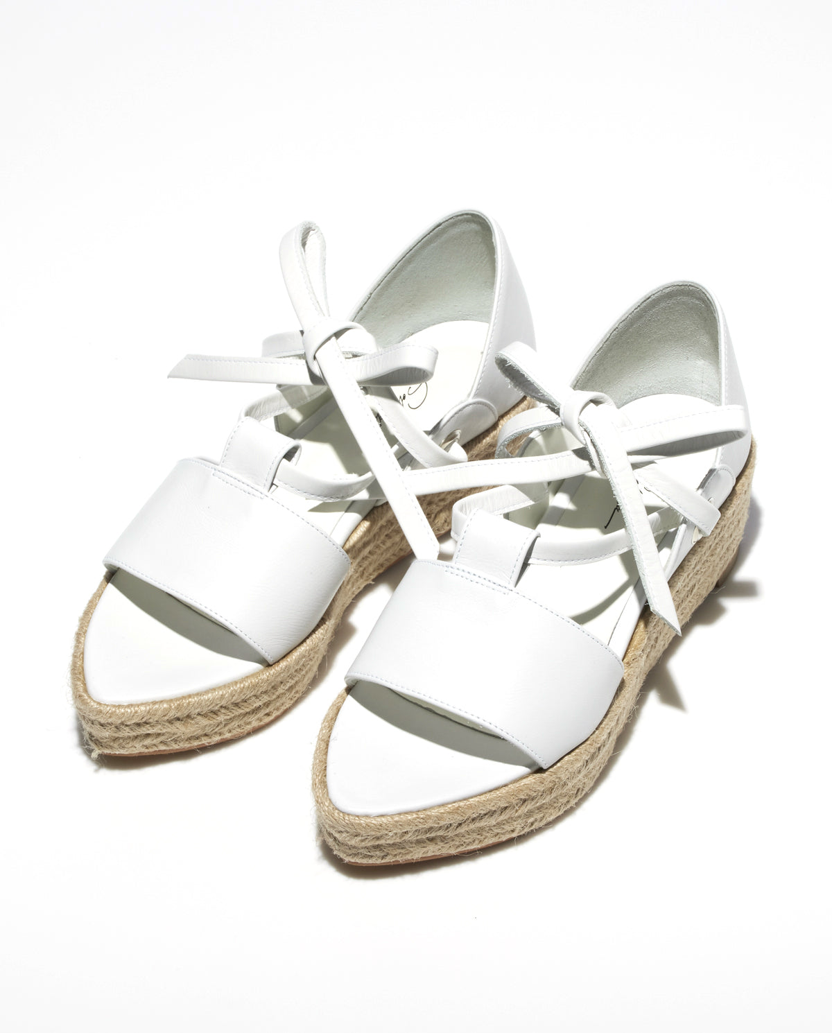 TERRA【WHITE】