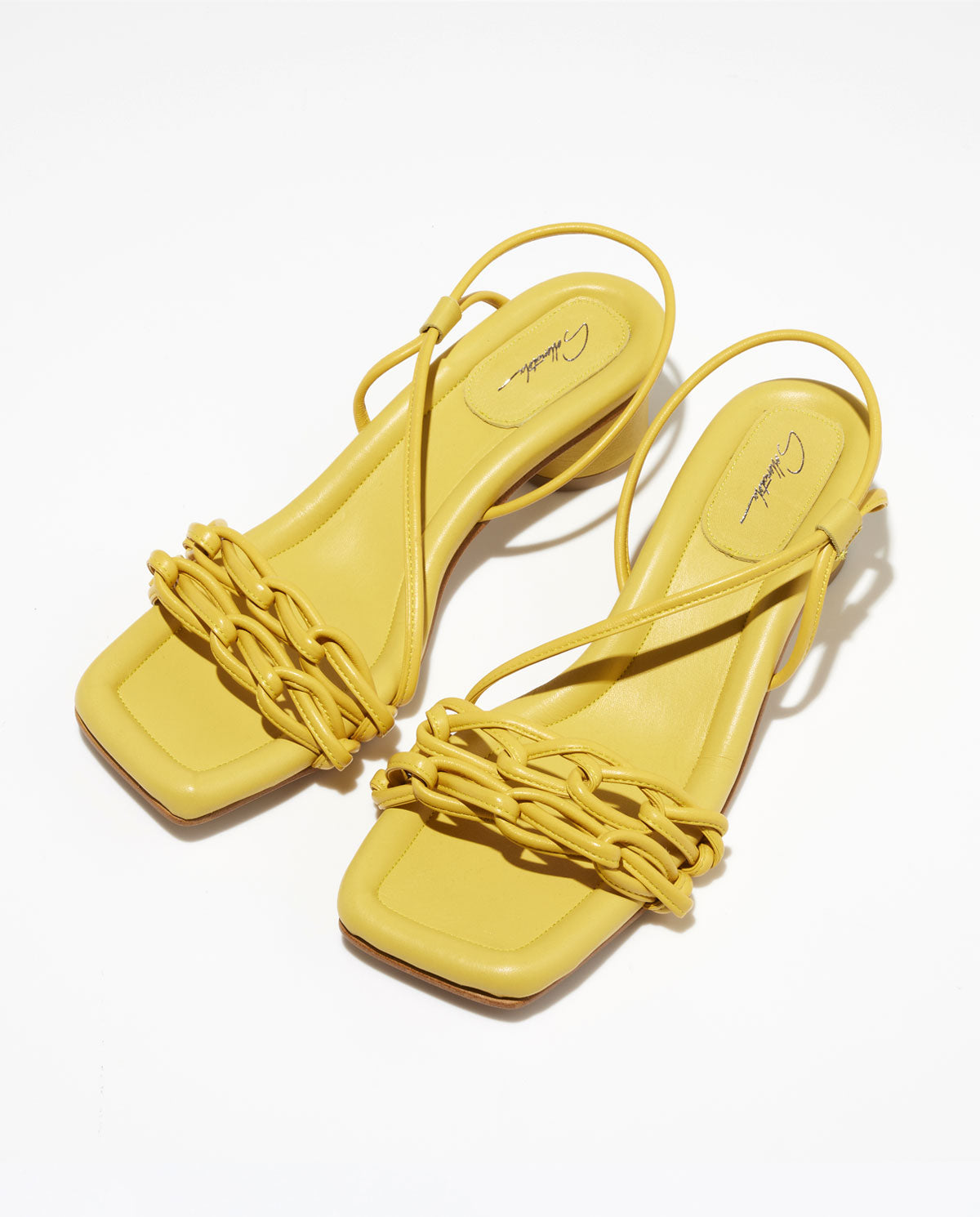 CELESTE【YELLOW】